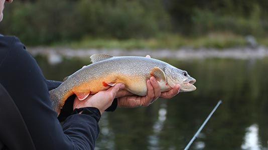 Manuel Reimer hält einen gefangenen Fisch - Figo GmbH - Shopdesign, Shopkonzepte, Bauleitung, Projektmanagement