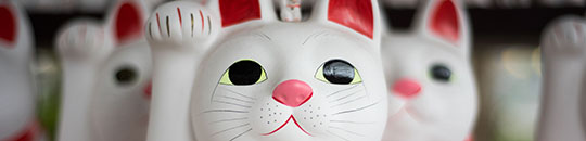 Customer Experience Japan - Figo GmbH - Shopdesign, Shopkonzepte, Bauleitung, Projektmanagement