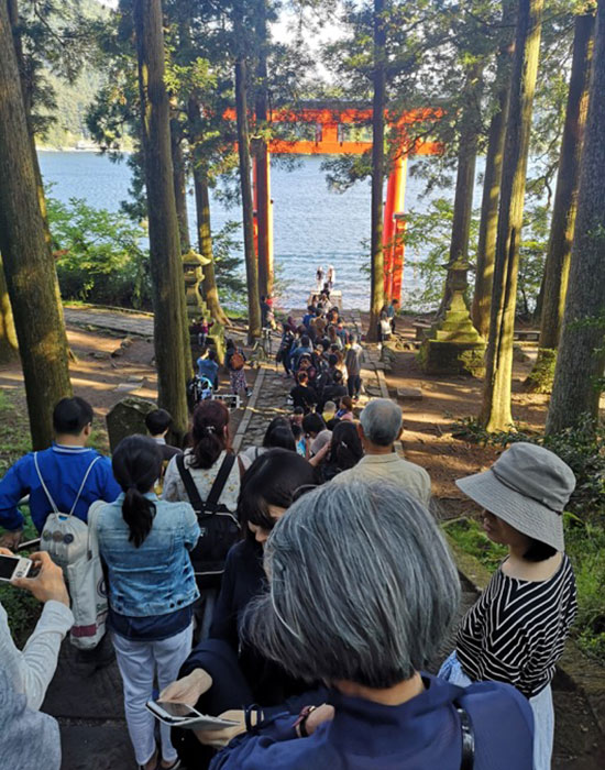 See Japan Instagram - Figo GmbH - Shopdesign, Shopkonzepte, Bauleitung, Projektmanagement