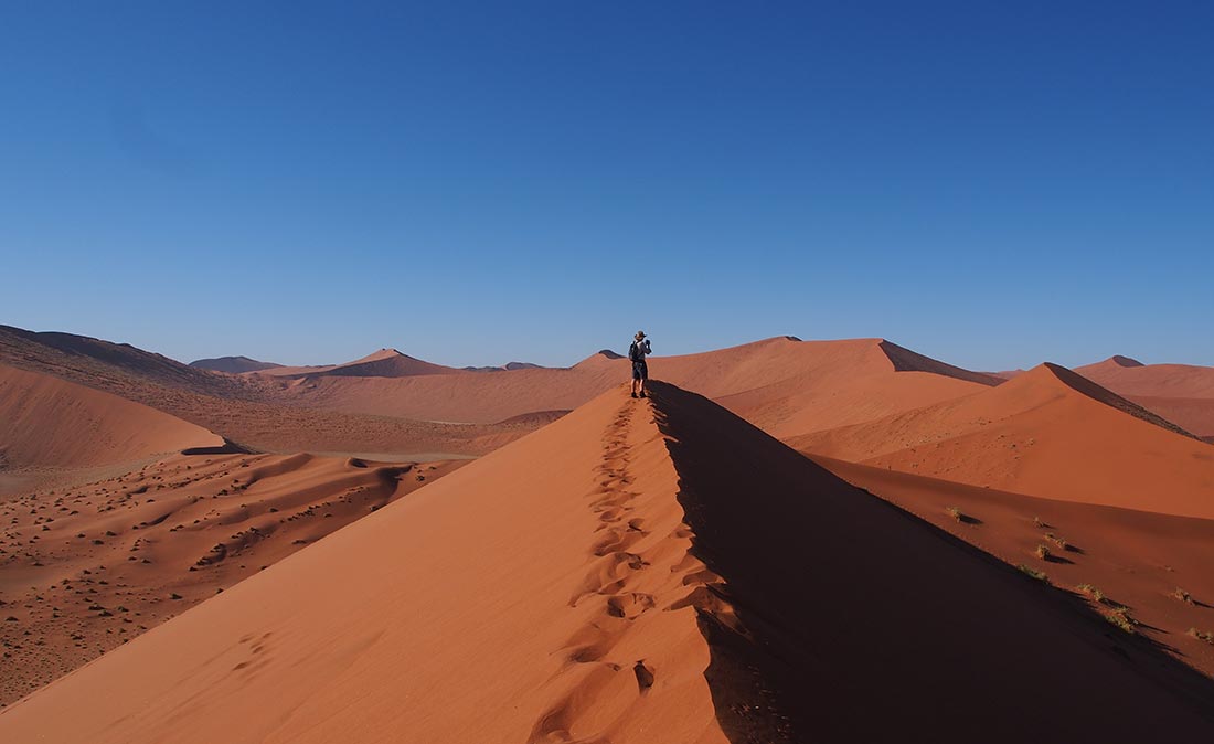 Figo is introducing Figo is introducing