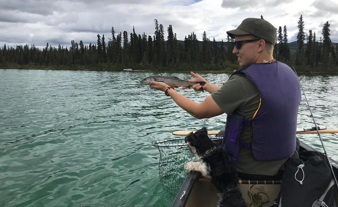 Figo is introducing Figo is introducing