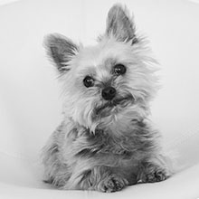 Maya - figo GmbH - Shopkonzepte, Shopdesign